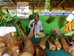 Biosecurity protects local crops and businesses from new pests